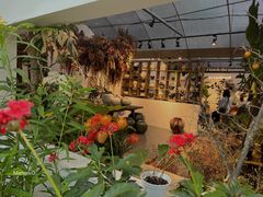 -自由生长植物工作室(深港花卉中心店)