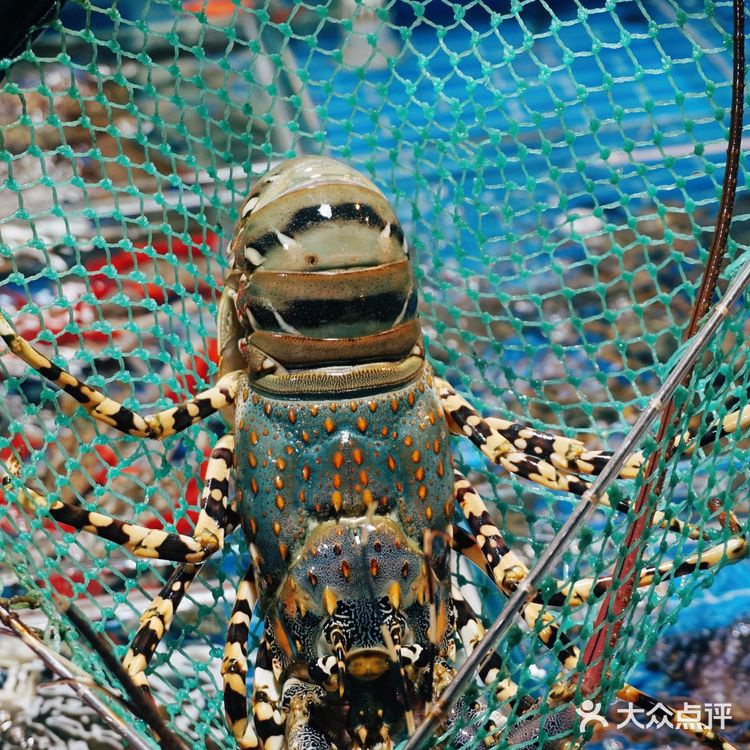 有着80几年历史的肉松店，居然还有海鲜