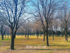 -洨河生态公园