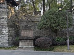 -桂湖森林公园