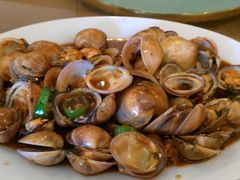 油岘-新庆嫂渔港