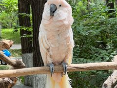 -北京野生动物园