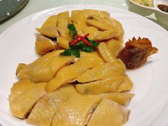 -新兴·金羊座·粤菜点心(乐峰店)