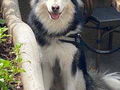 -T-COFFEE(长江花园店)