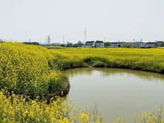 -桃花岛景观公园
