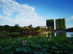 -西海子公园
