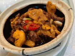 姜汁啫啫牛肉煲-粤·向群饭店(龙津东路总店)