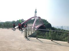 -金鸡山公园