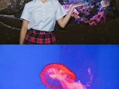 -南昌海洋公园