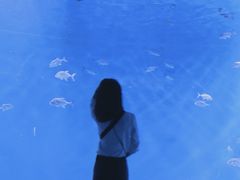 -哈尔滨波塞冬海底世界