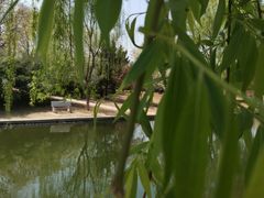 -石家庄市植物园