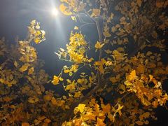 -卞氏菜根香·川菜(青羊万达店)