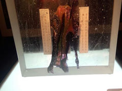 android_upload_pic-上海琉璃艺术博物馆