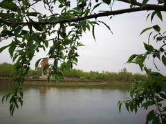 -河北工业大学(北辰校区)