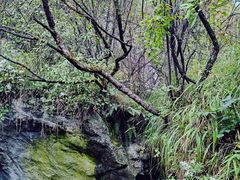 -秦岭终南山世界地质公园翠华山景区