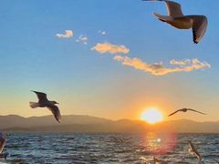 -海平馄饨(逍遥二路店)