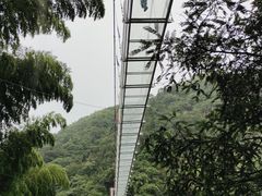 -藏龙百瀑风景区