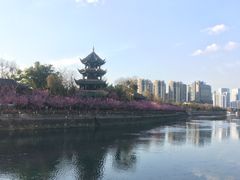 -望江楼公园