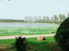 -丁香湖公园