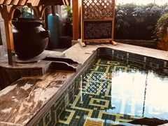 -弘安丽水温泉酒店