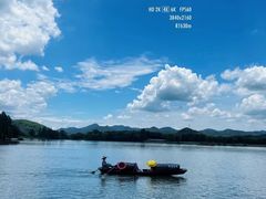 -鲁镇