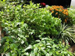 大堂-艾加柒克蛋糕茶歇甜品台(春熙路店)