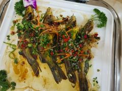 -美姿水荟美食水疗