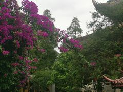 -南岳明心寺
