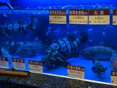 -协成海鲜火锅(海洋花园店)