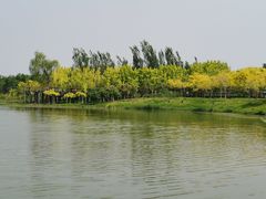 -东郊湿地公园