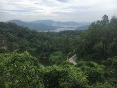 半上腰-火炉山森林公园