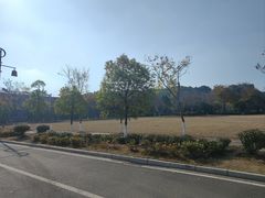 -曾侯乙墓遗址博物馆