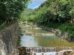 -广州白江湖森林公园