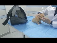 -中农国际动物医院24小时·猫科·骨科·急重症中心