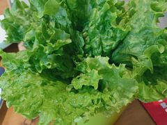 生菜-串掌柜·炭火烤肉撸串专营店(盛世俪园店)