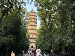 -灵谷景区