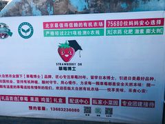 -大自然农场蔬菜草莓采摘园
