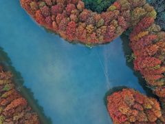 -上海海湾国家森林公园