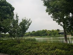 -尚贤河湿地