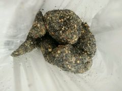 -叶氏麻糍(鼓浪屿店)