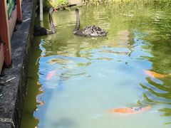 -珠海圆明新园