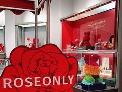 -ROSEONLY诺誓(广州K11店)