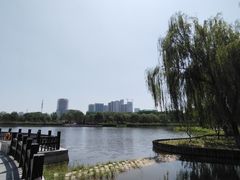 -西海子公园