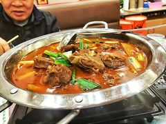 牛尾牛骨火锅-古田会·肥肠鸡(古田店)