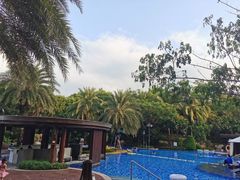 -天津湾西餐厅(三亚海棠湾洲际度假酒店)