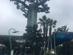 -苏州乐园森林水世界