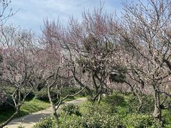 -灵谷景区