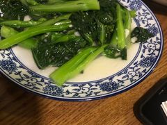 -西北狼(GOGO新天地店)