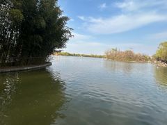 -洛阳市隋唐城遗址植物园