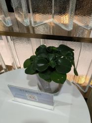 -重庆联合丽格第五医疗美容医院